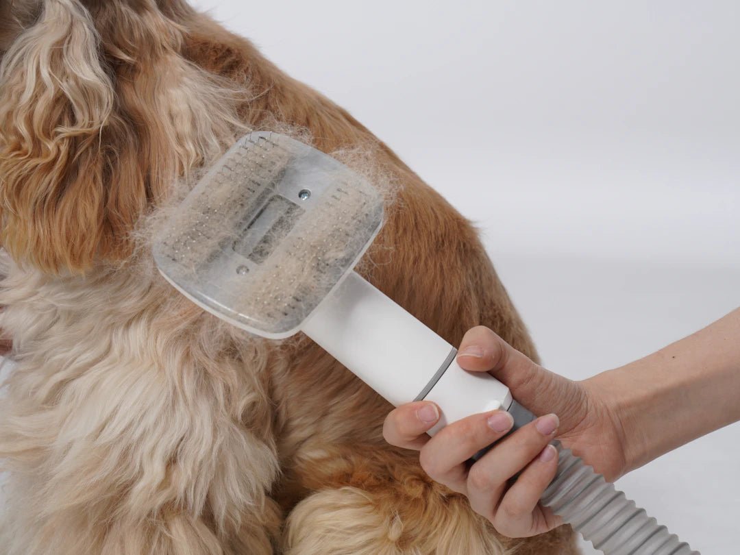 Cleaning Tips for Pet Owners: Keeping Your Home Fresh - Gunk Getter
