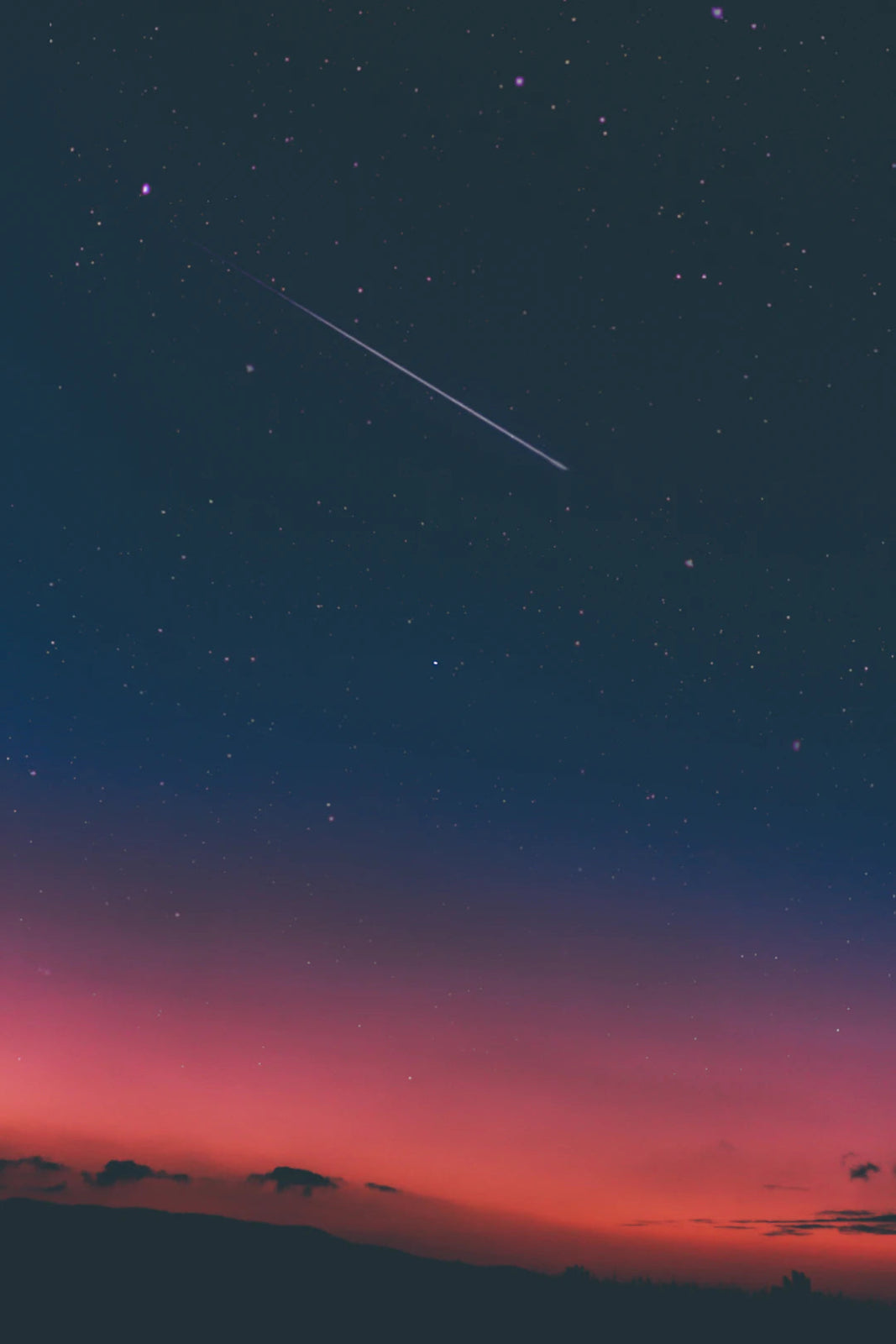 Declutter Your Space for a Fresh, Organized Home - Gunk Getter