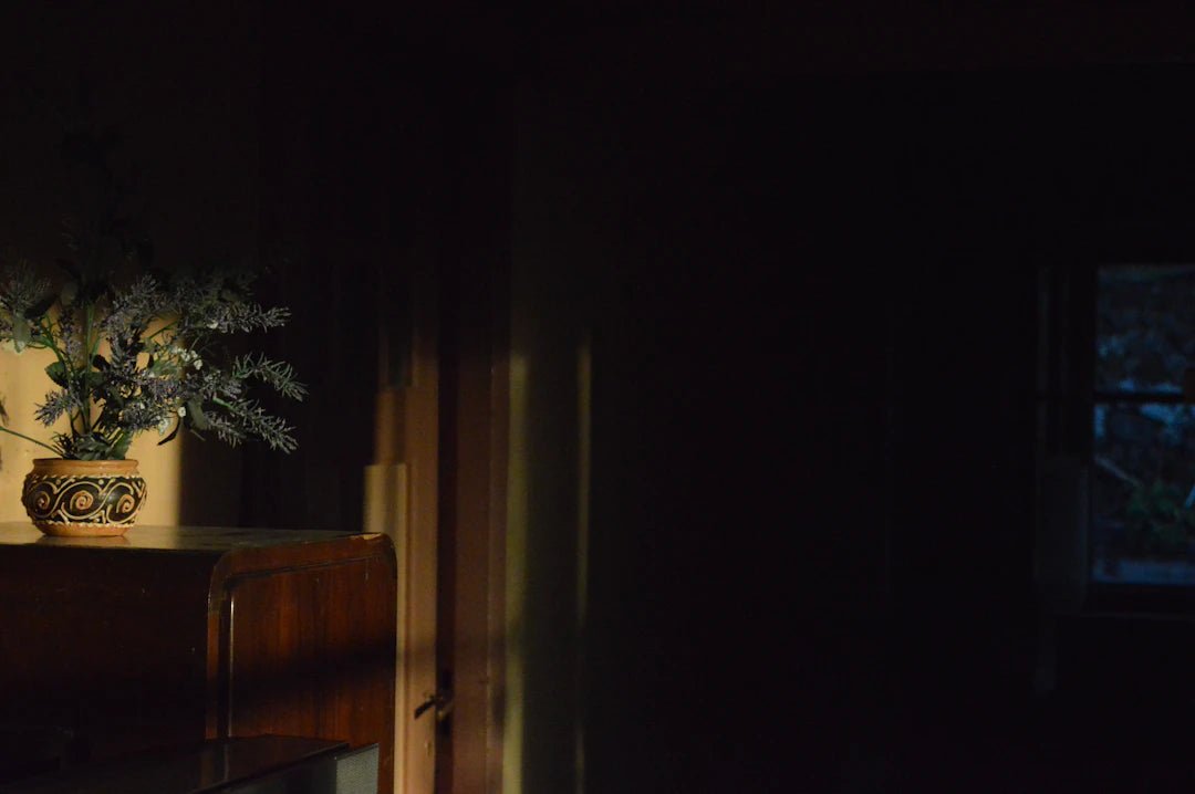 Essential Tips for Cleaning and Maintaining Your Appliances - Gunk Getter