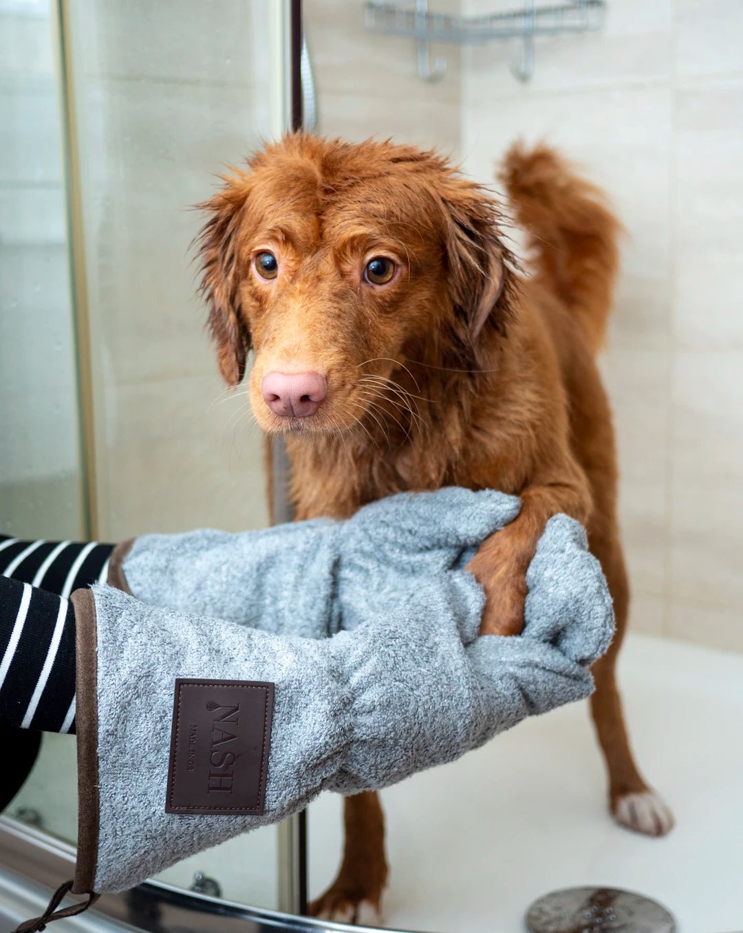 Expert Cleaning Tips for Pet Owners: Tackle Fur & Odors - Gunk Getter
