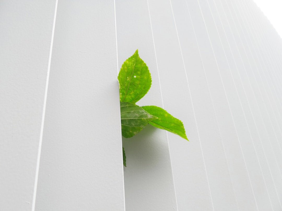 Keep Your Home Clean and Green: Top Eco-Friendly Cleaning Brands - Gunk Getter