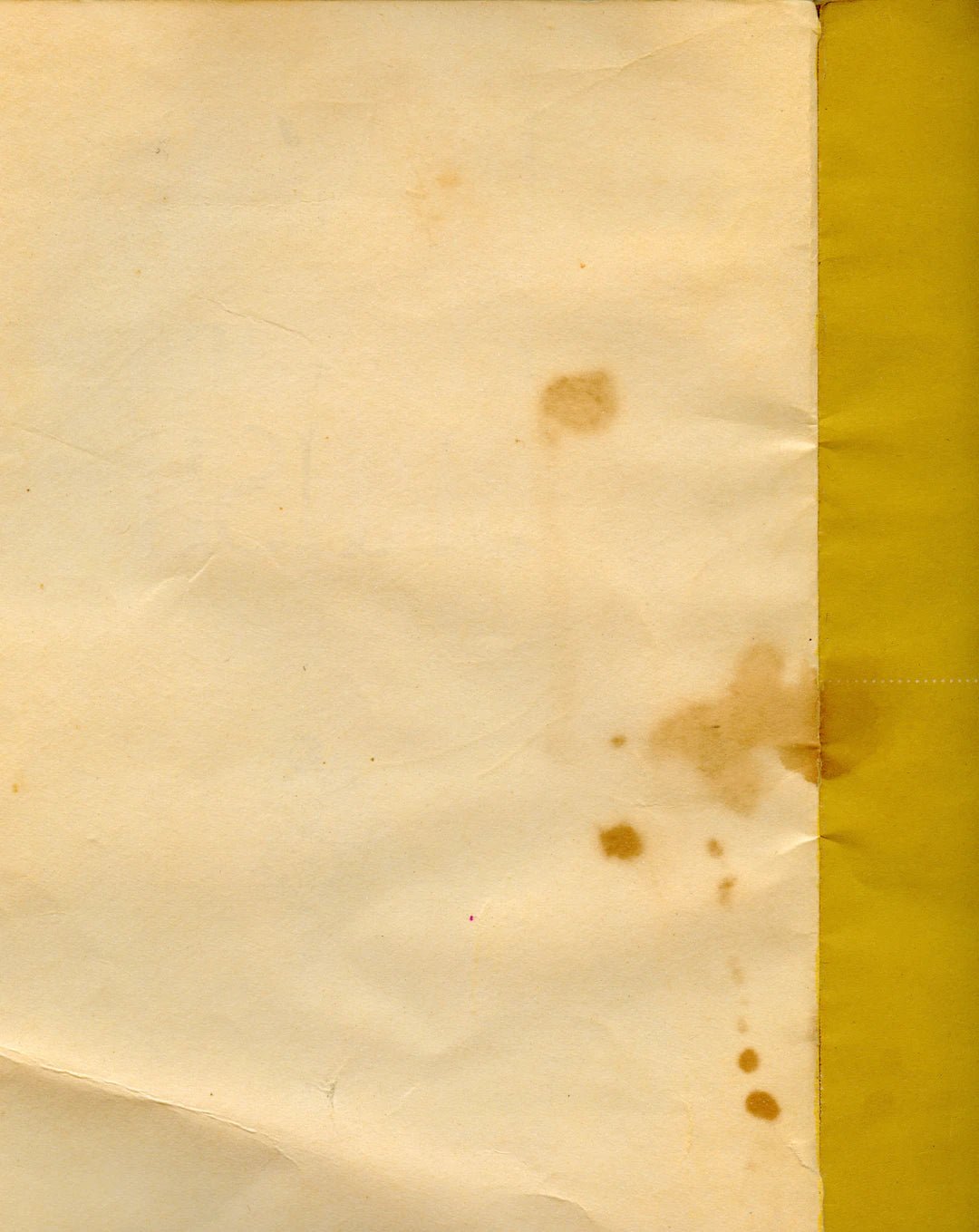 Master Stain Removal: Your Ultimate Guide to Spotless Surfaces - Gunk Getter