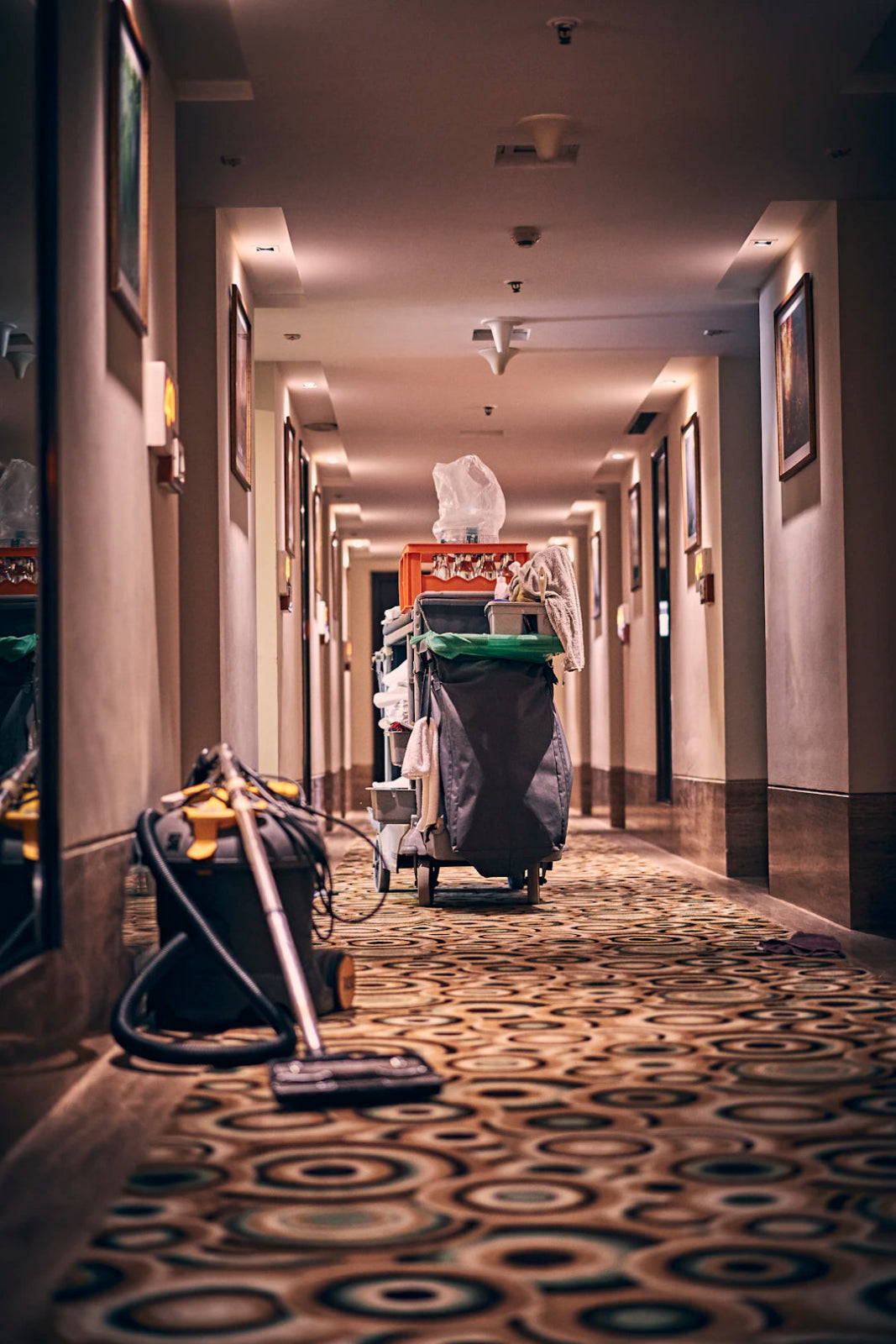 Mastering Cleaning Supplies: Your Guide to a Spotless Home - Gunk Getter