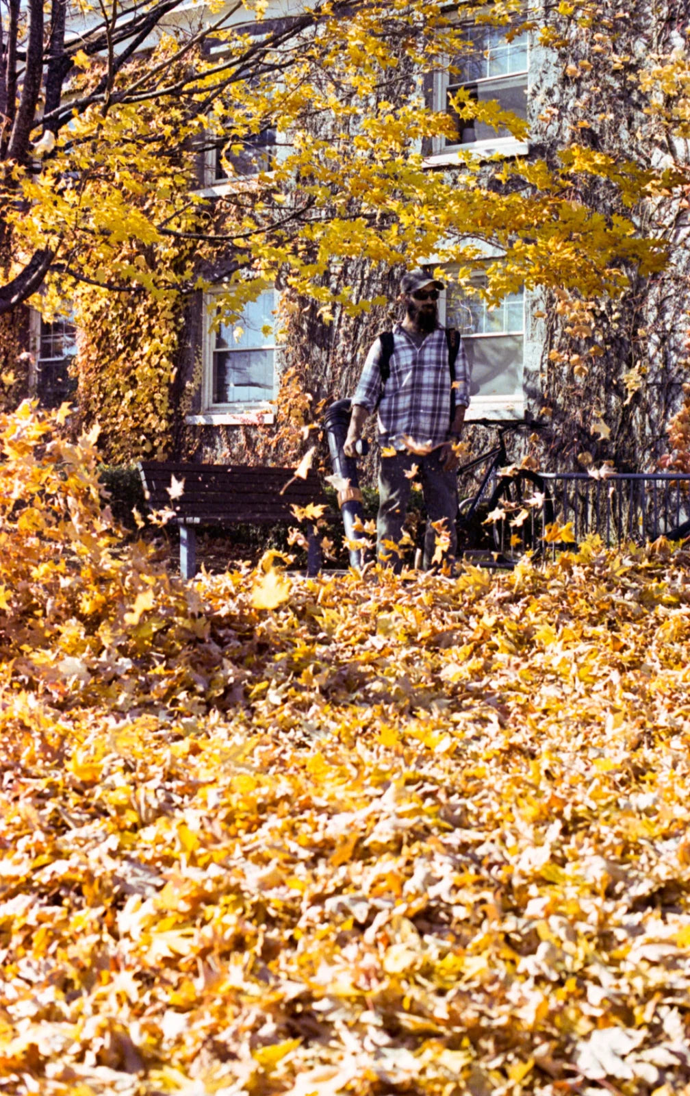 Seasonal Cleaning: Prep Your Home for Every Season - Gunk Getter