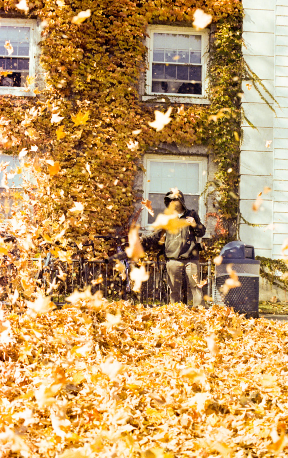 Seasonal Cleaning Tips: Prep Your Home for Every Season - Gunk Getter