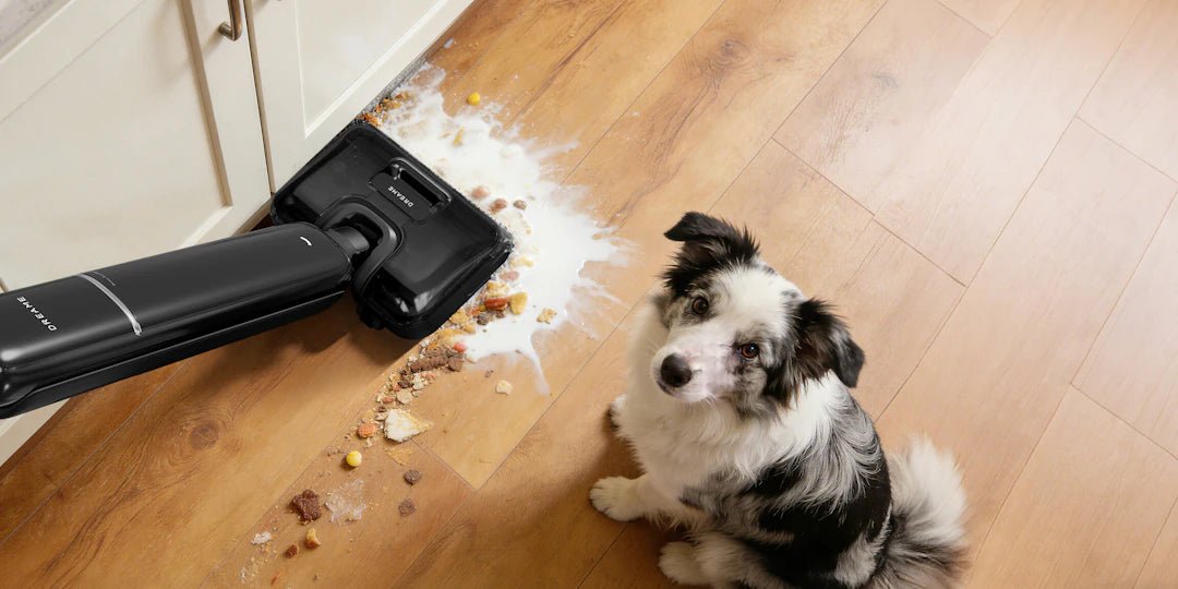 Smart Cleaning Tips for Homes with Pets - Gunk Getter