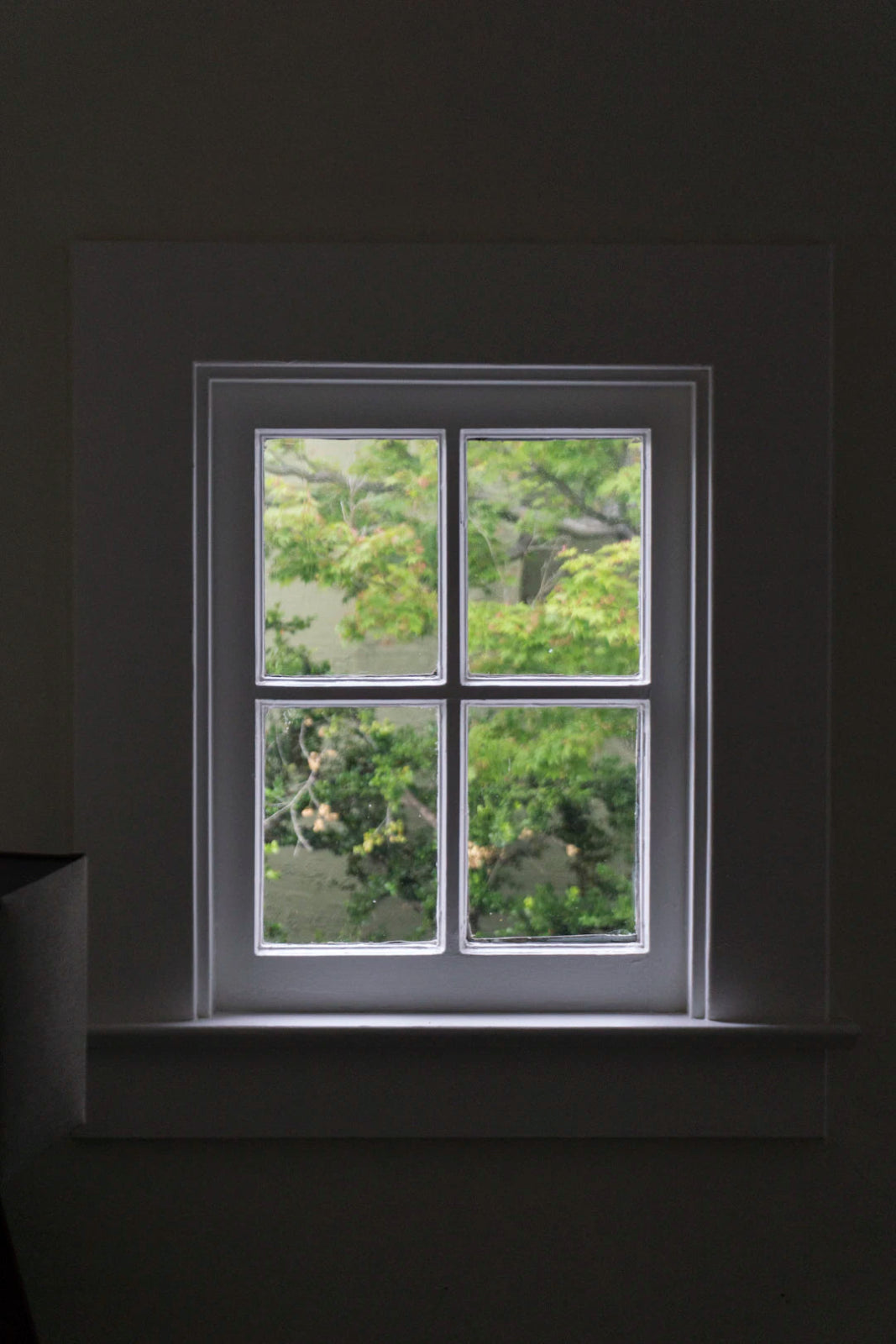 Spotless Views: Your Ultimate Guide to Cleaning Windows - Gunk Getter