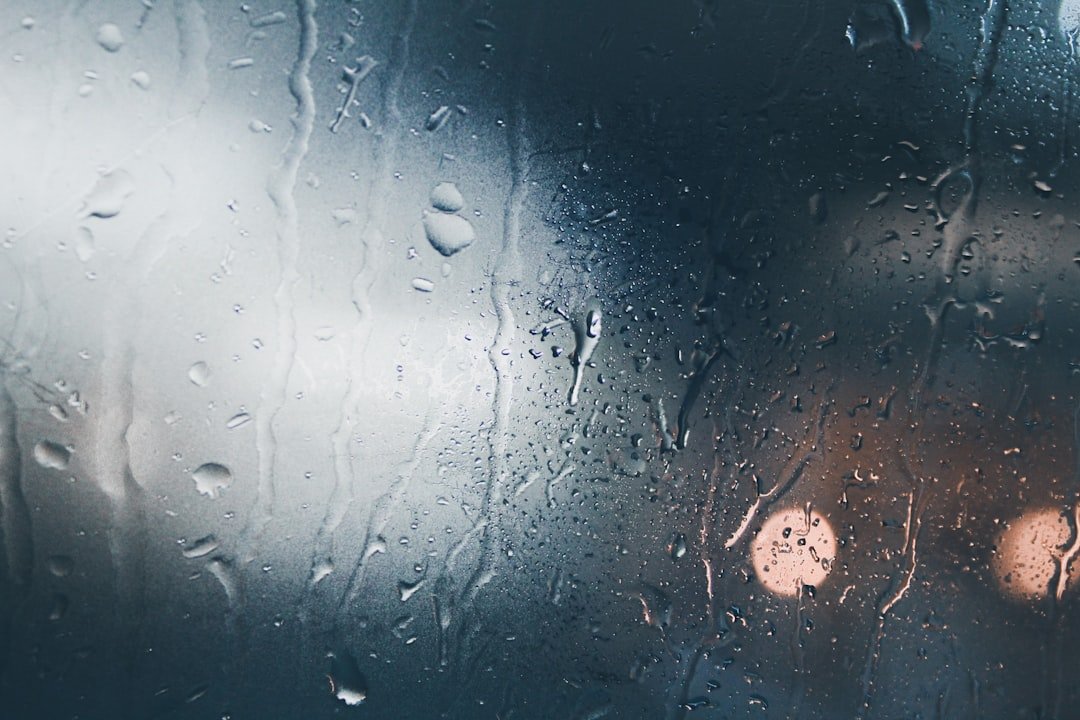 Weather Effects on Your Cleaning Routine - Gunk Getter