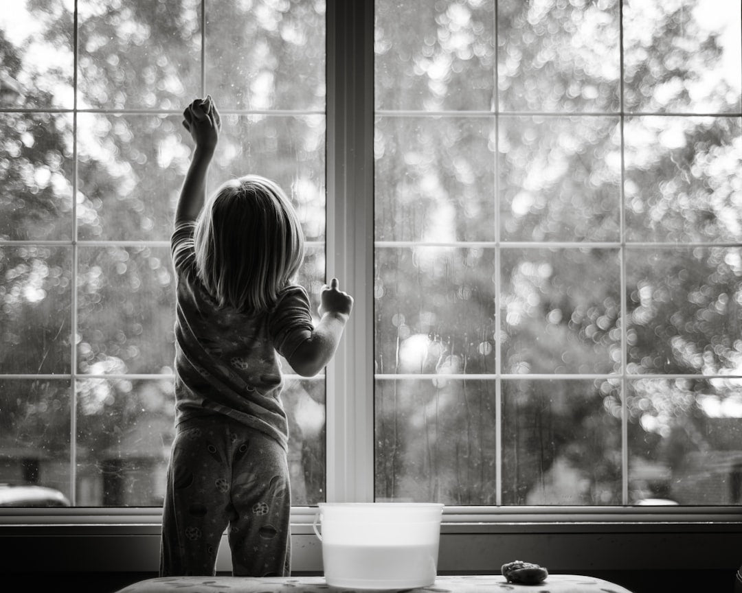 A Step-by-Step Guide to Cleaning Your Windows - Gunk Getter