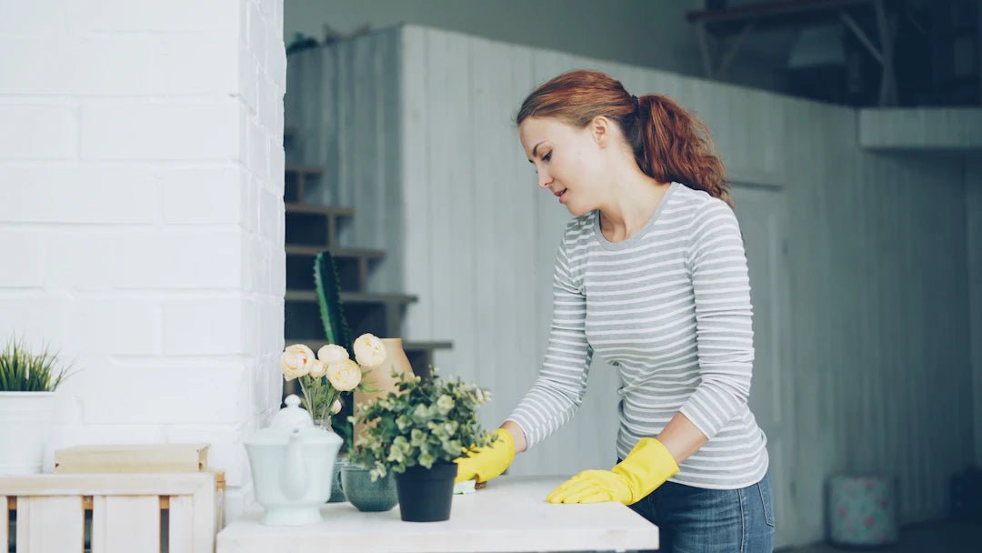 Budget-Friendly Cleaning Hacks for a Sparkling Home - Gunk Getter