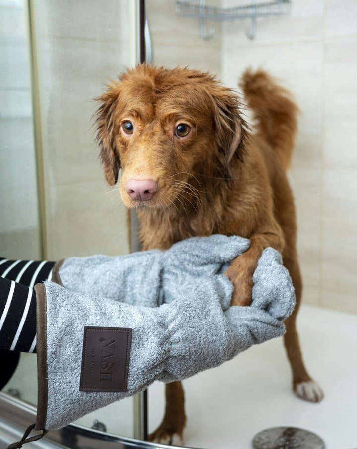 Cleaning Tips for Pet Owners: Removing Fur and Odors - Gunk Getter