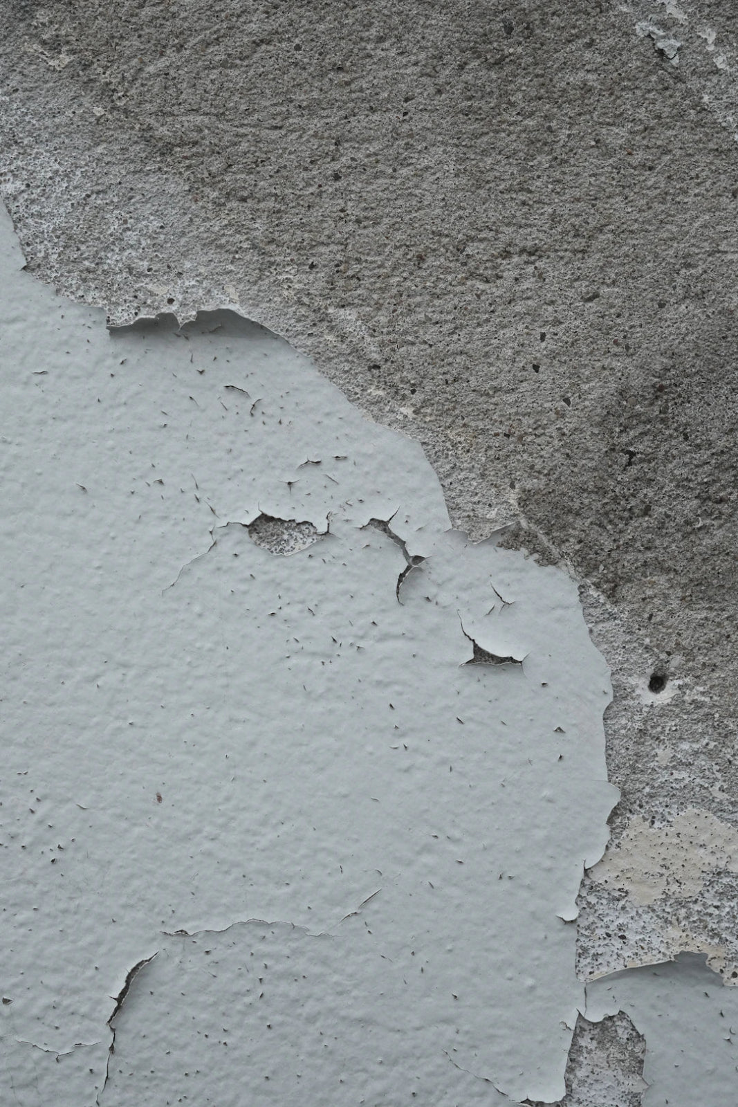 Conquer Mold & Mildew: A Homeowner's Guide - Gunk Getter