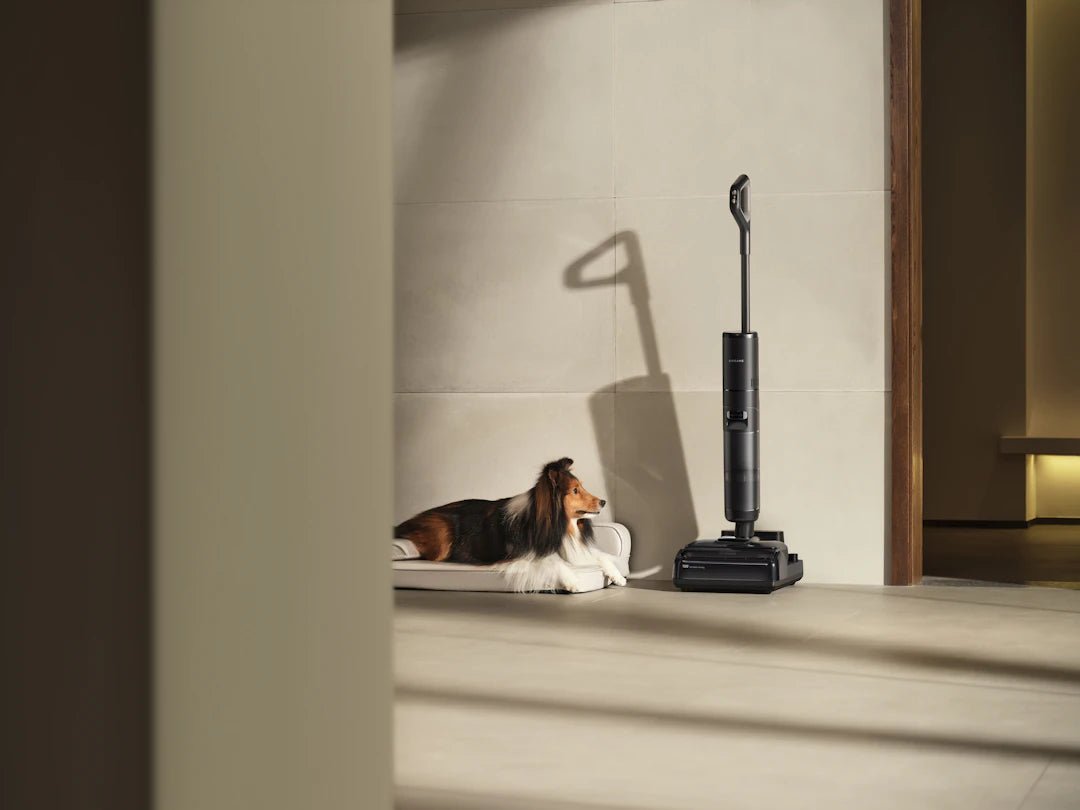 Crafting the Ultimate Pet-Friendly Cleaning Routine - Gunk Getter