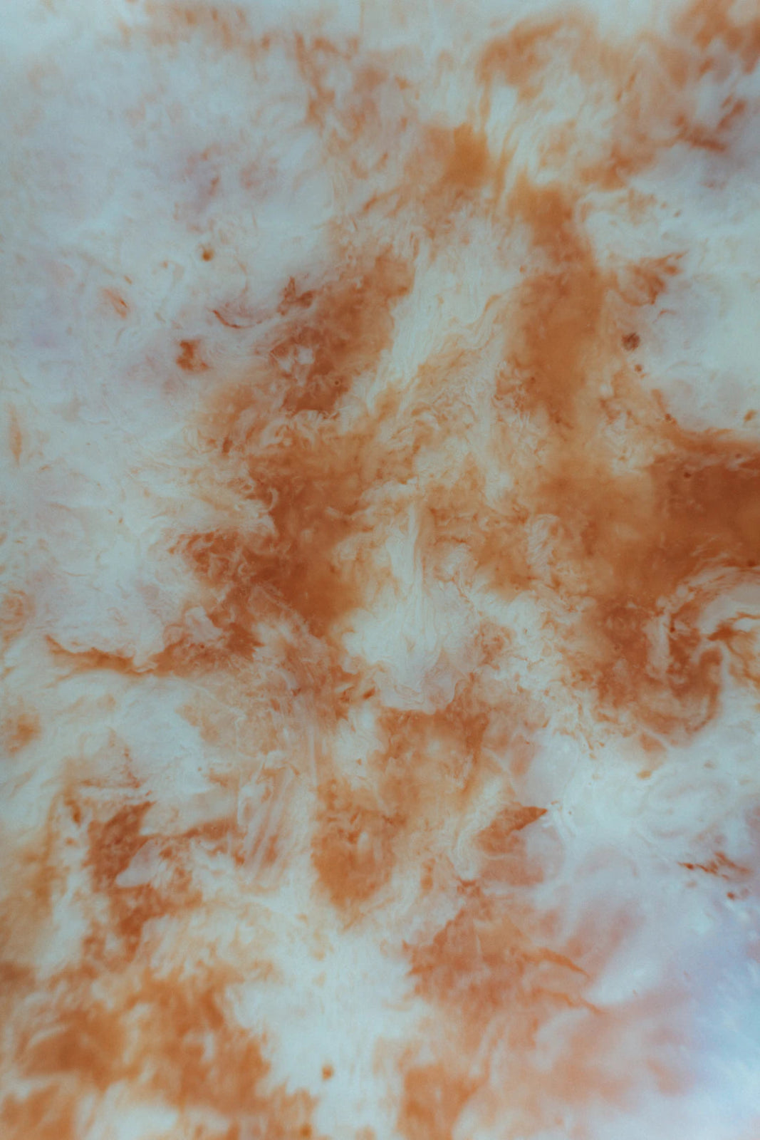 Eliminate Household Stains Like a Pro: Top Tips - Gunk Getter