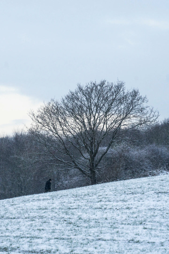 Essential Winter Cleaning Tips for a Cozy Home - Gunk Getter