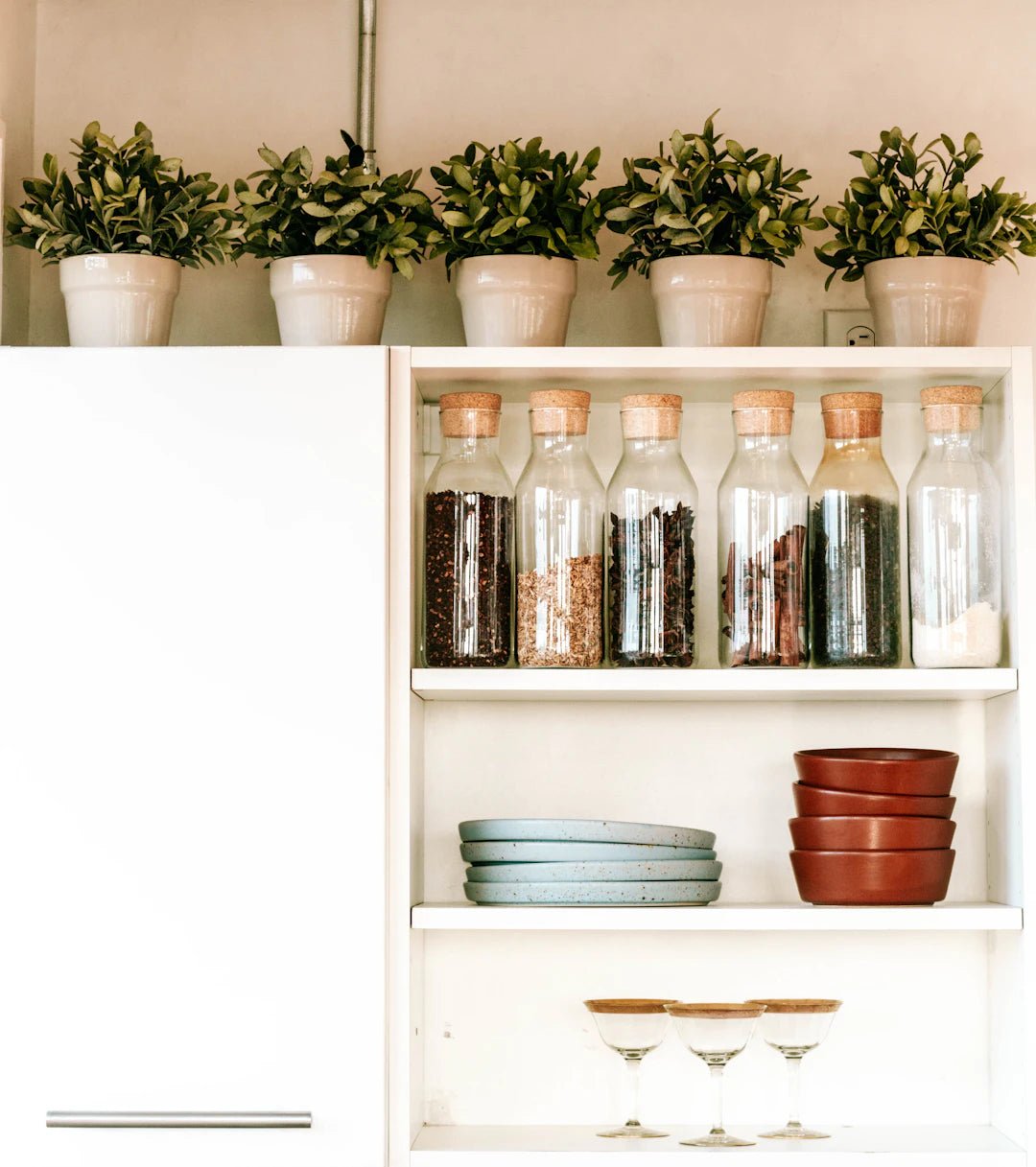 Master Your Kitchen: Tips for Easy Cleaning and Organizing - Gunk Getter