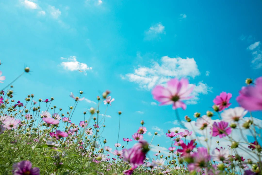 Maximize Your Seasonal Clean: Essential Checklist! - Gunk Getter