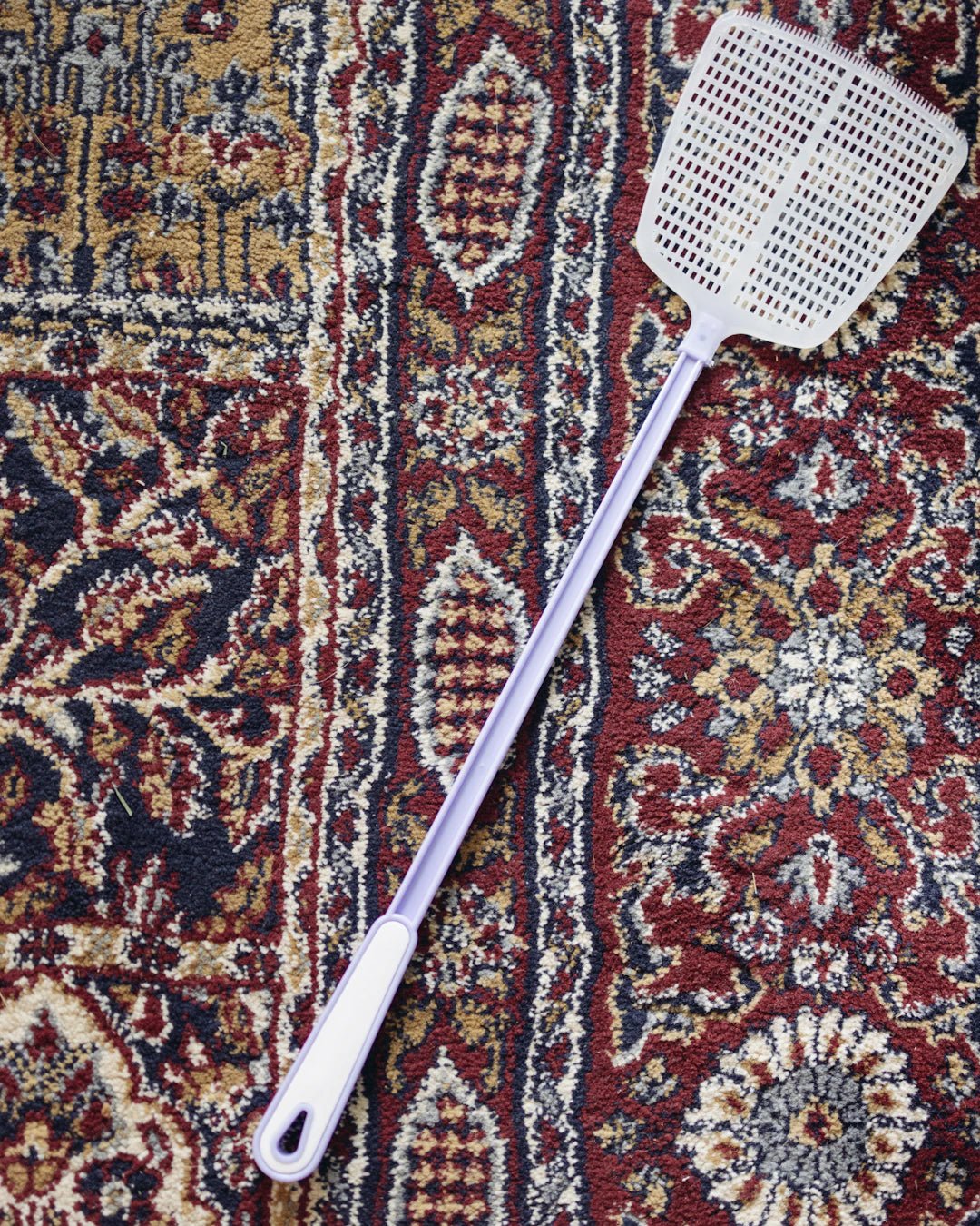 Seasonal Cleaning Made Easy: Prep Your Home in Style - Gunk Getter