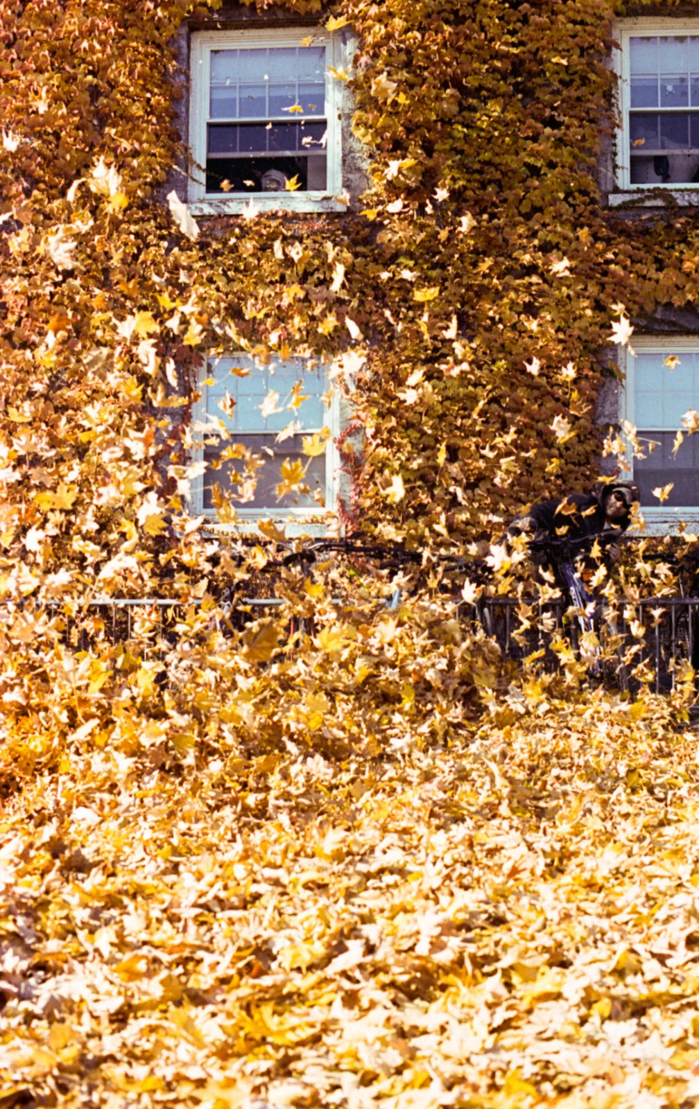 Seasonal Cleaning: Prepare Your Home for Each Season - Gunk Getter