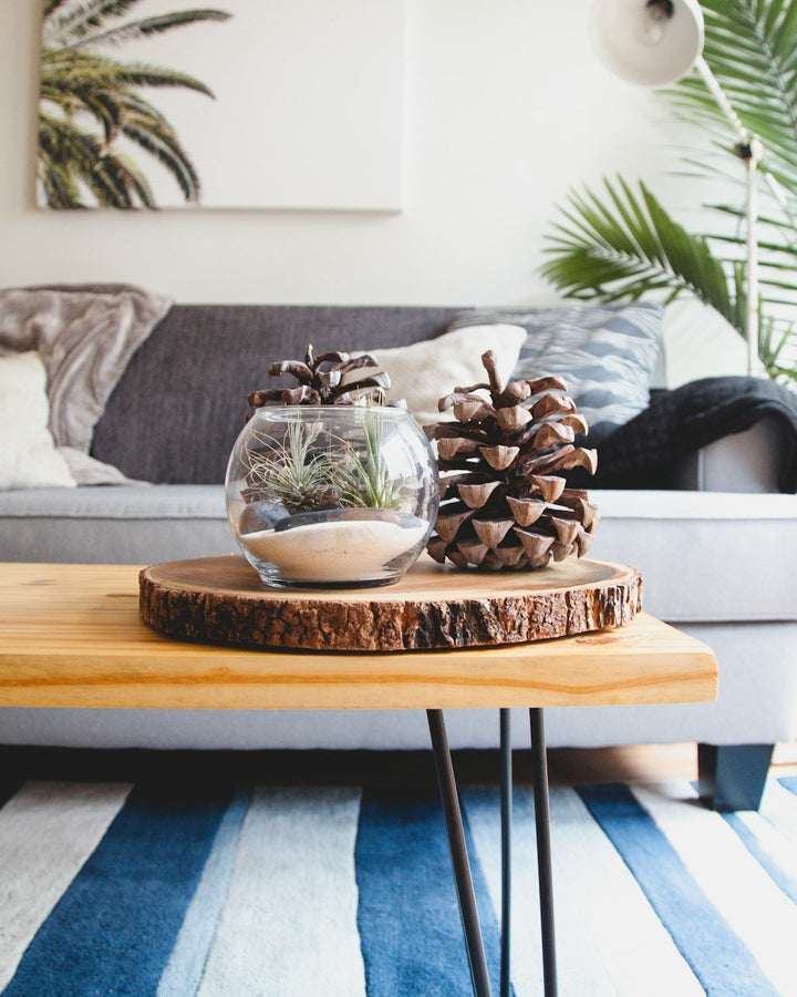 Seasonal Cleaning: Preparing Your Home for Each Season - Gunk Getter