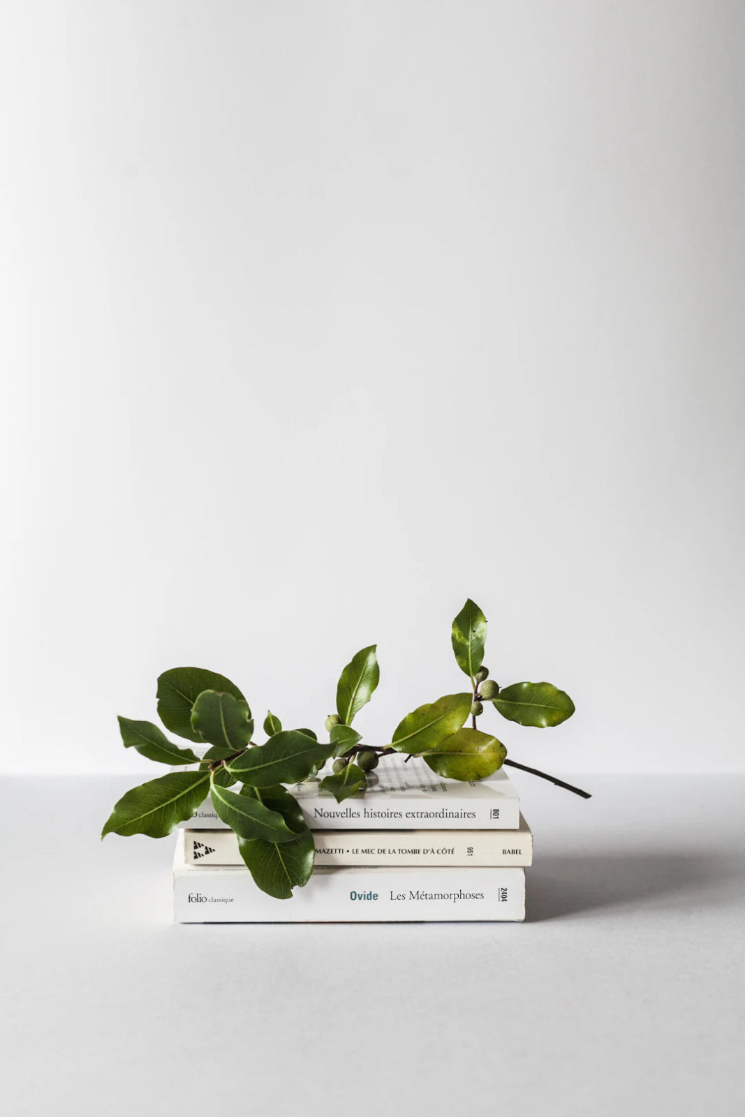 The Secret to Cleanliness: How Organization Plays a Role - Gunk Getter