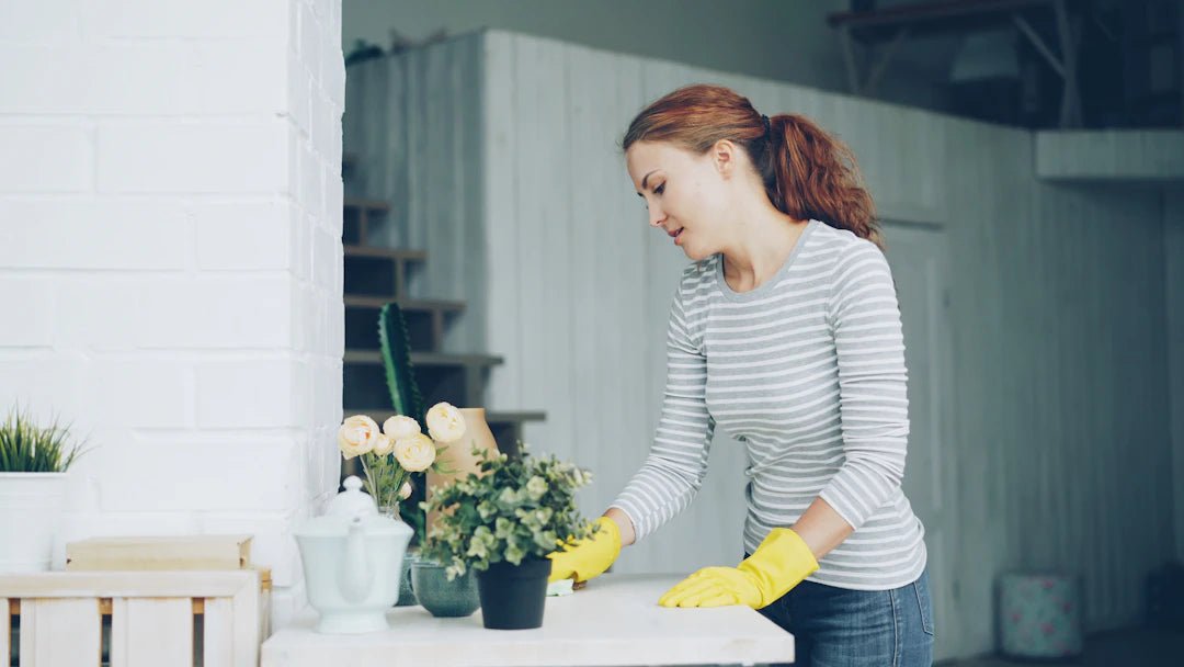 The Surprising Psychology of a Clean Home - Gunk Getter